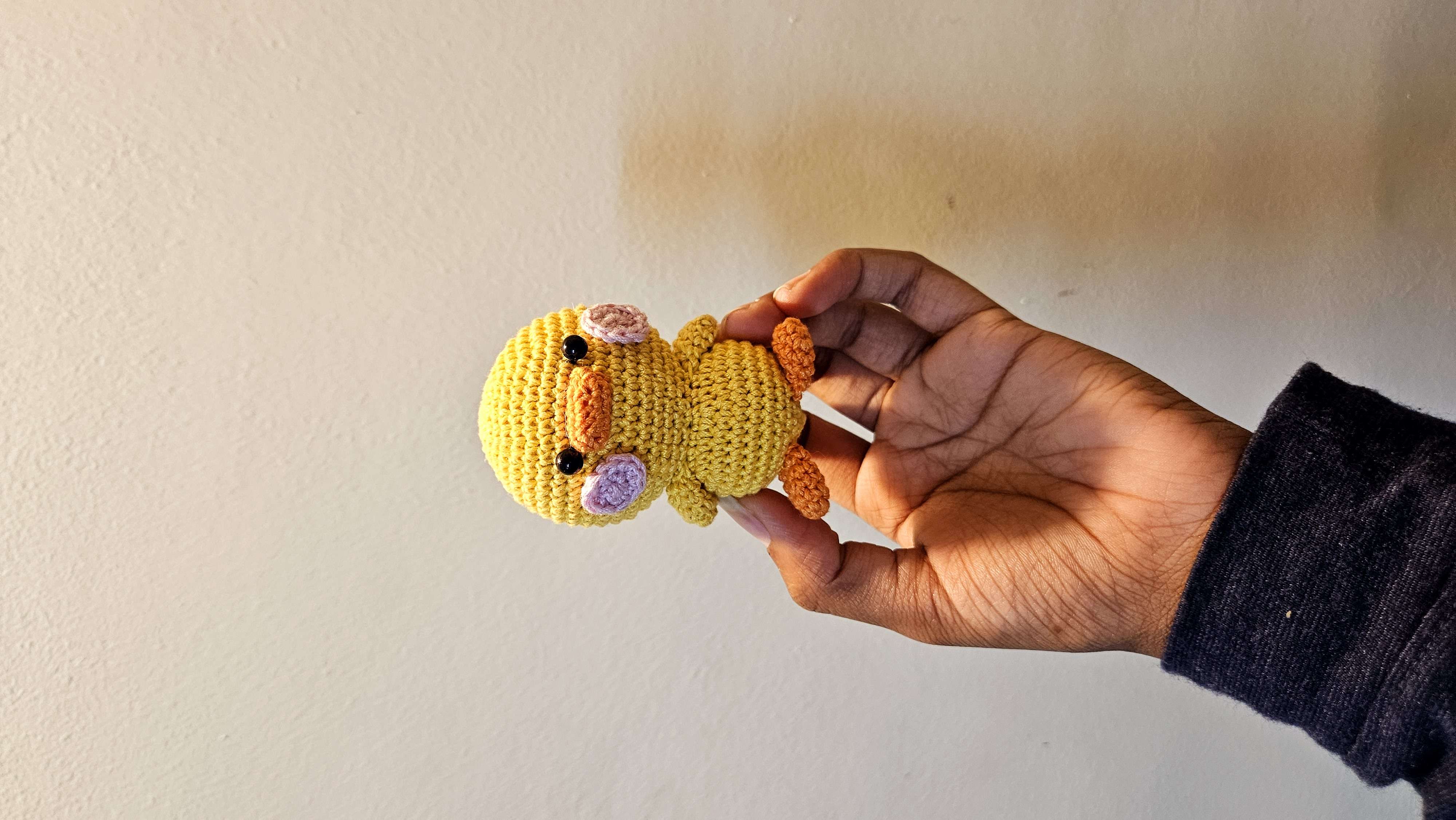 Duck - Image 1