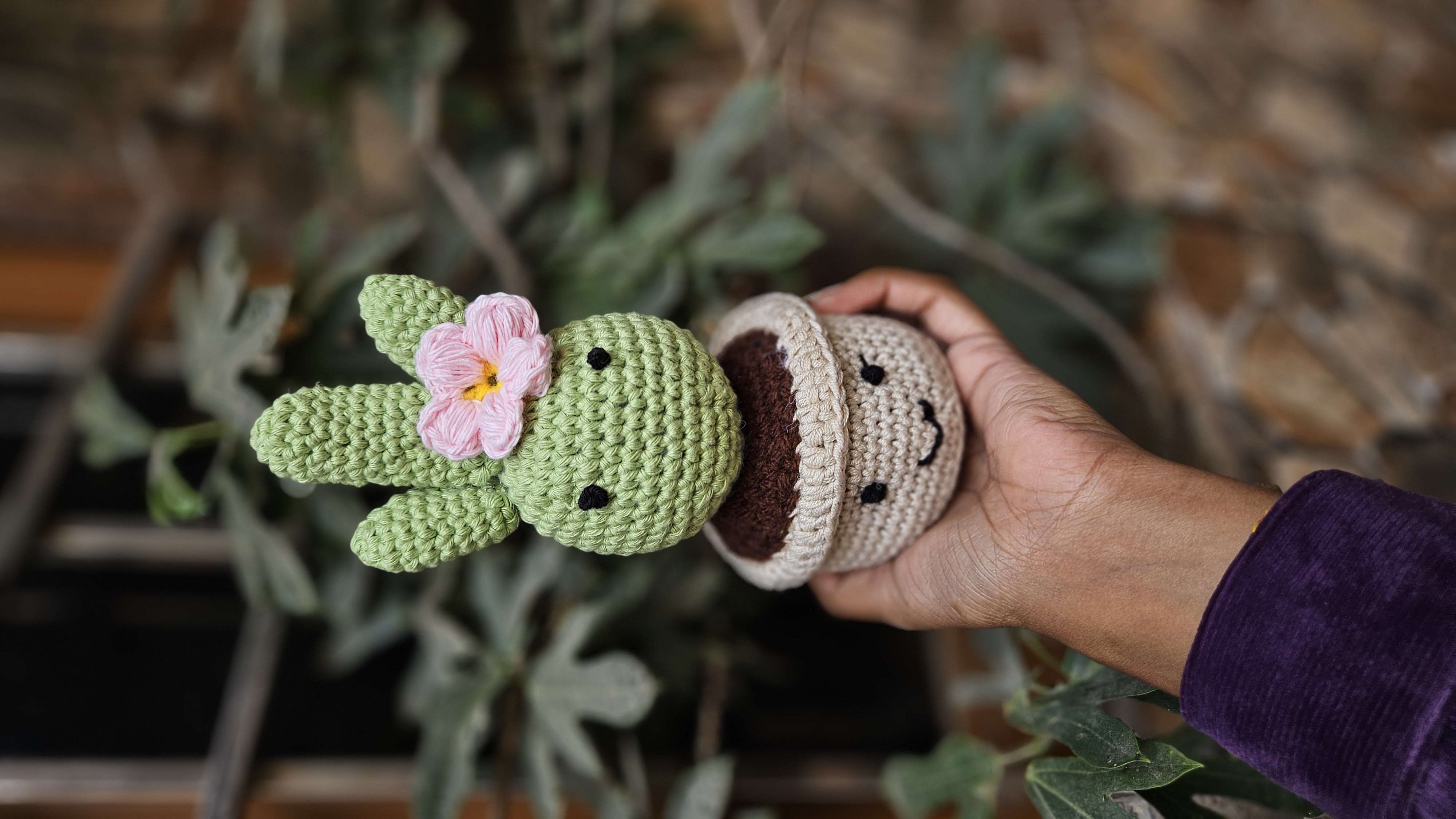 Cactus pot - Image 1