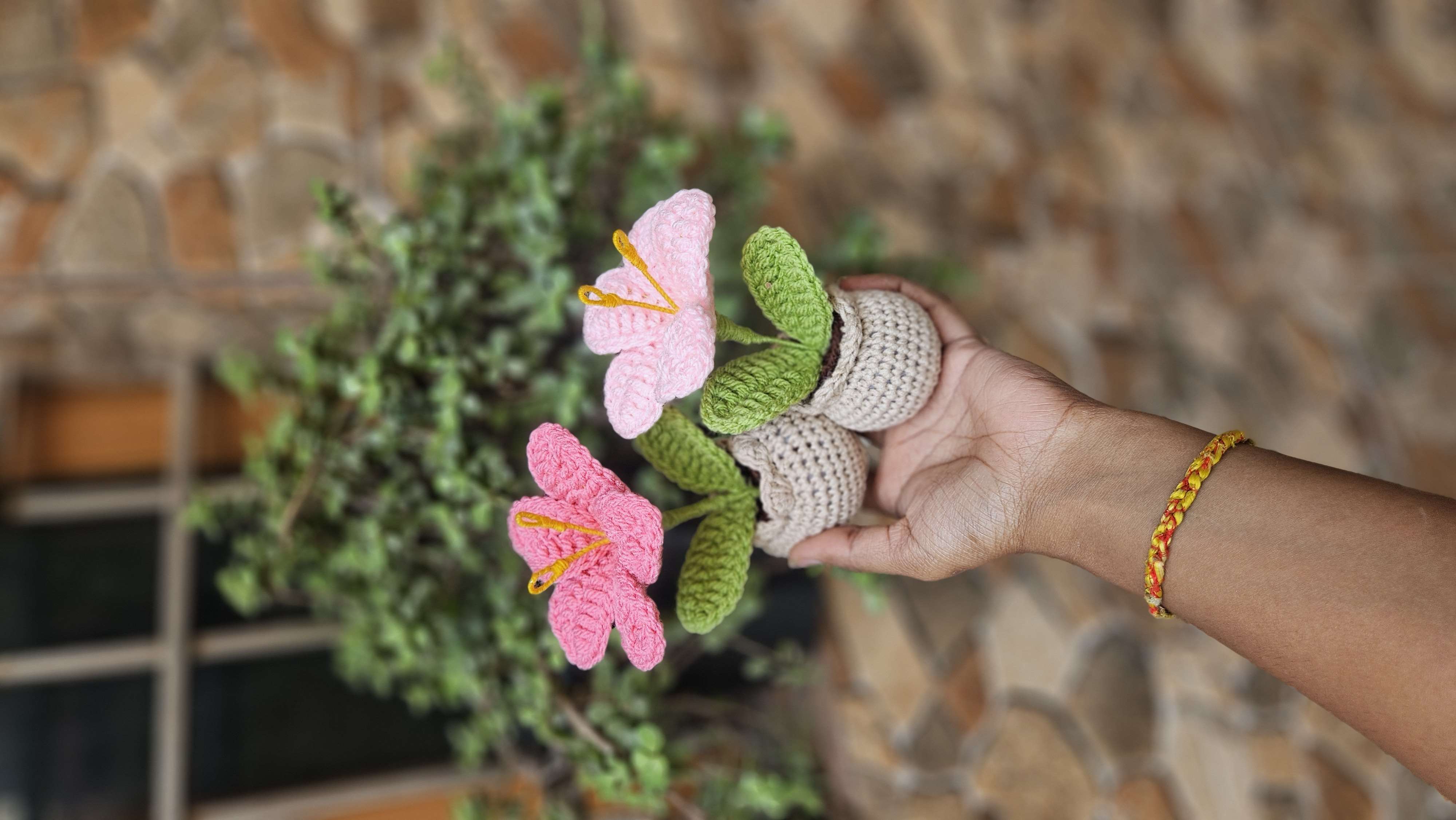 Mini lily pot - Image 1