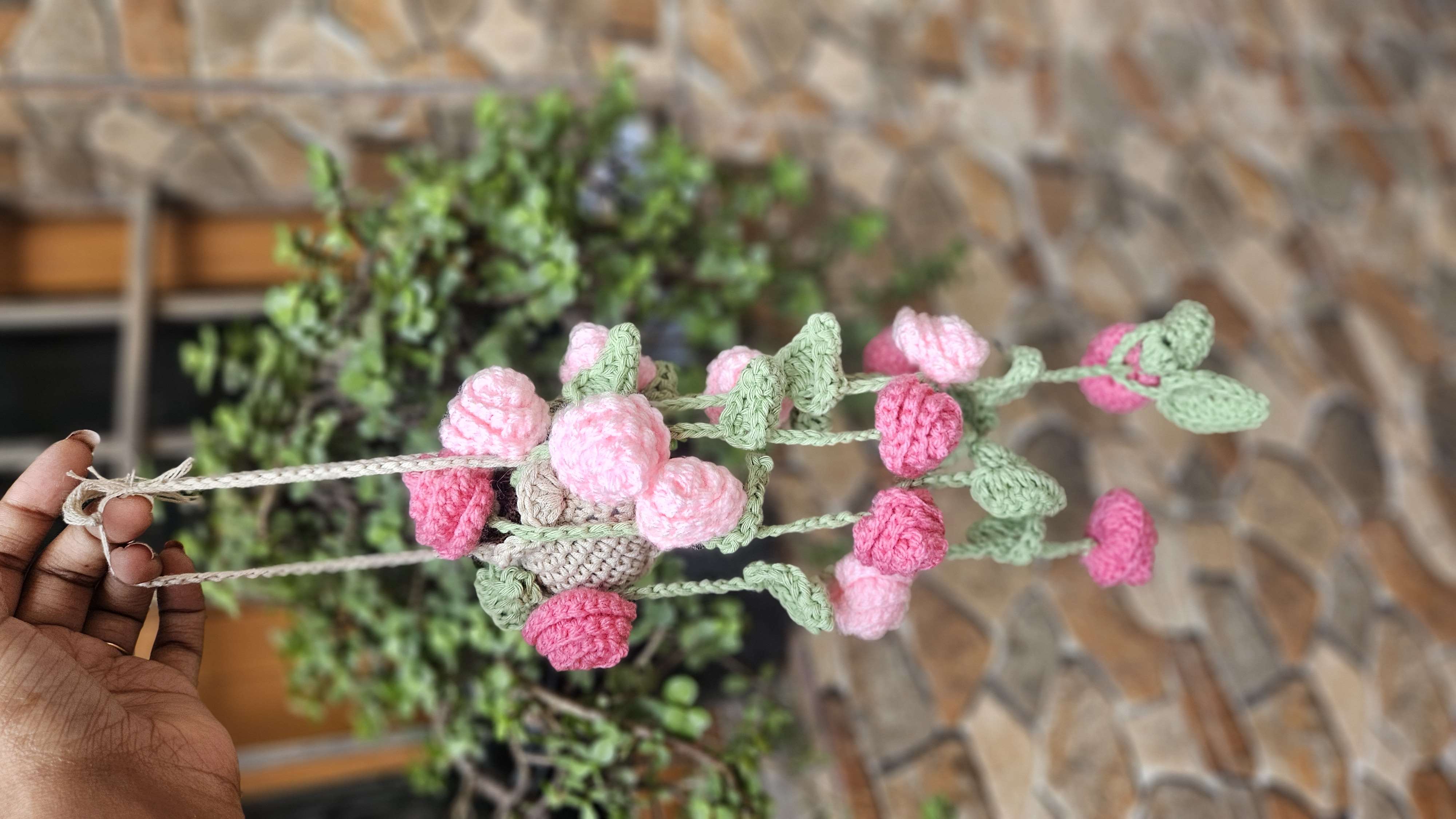 Rose Hanging plant - Thumbnail 2