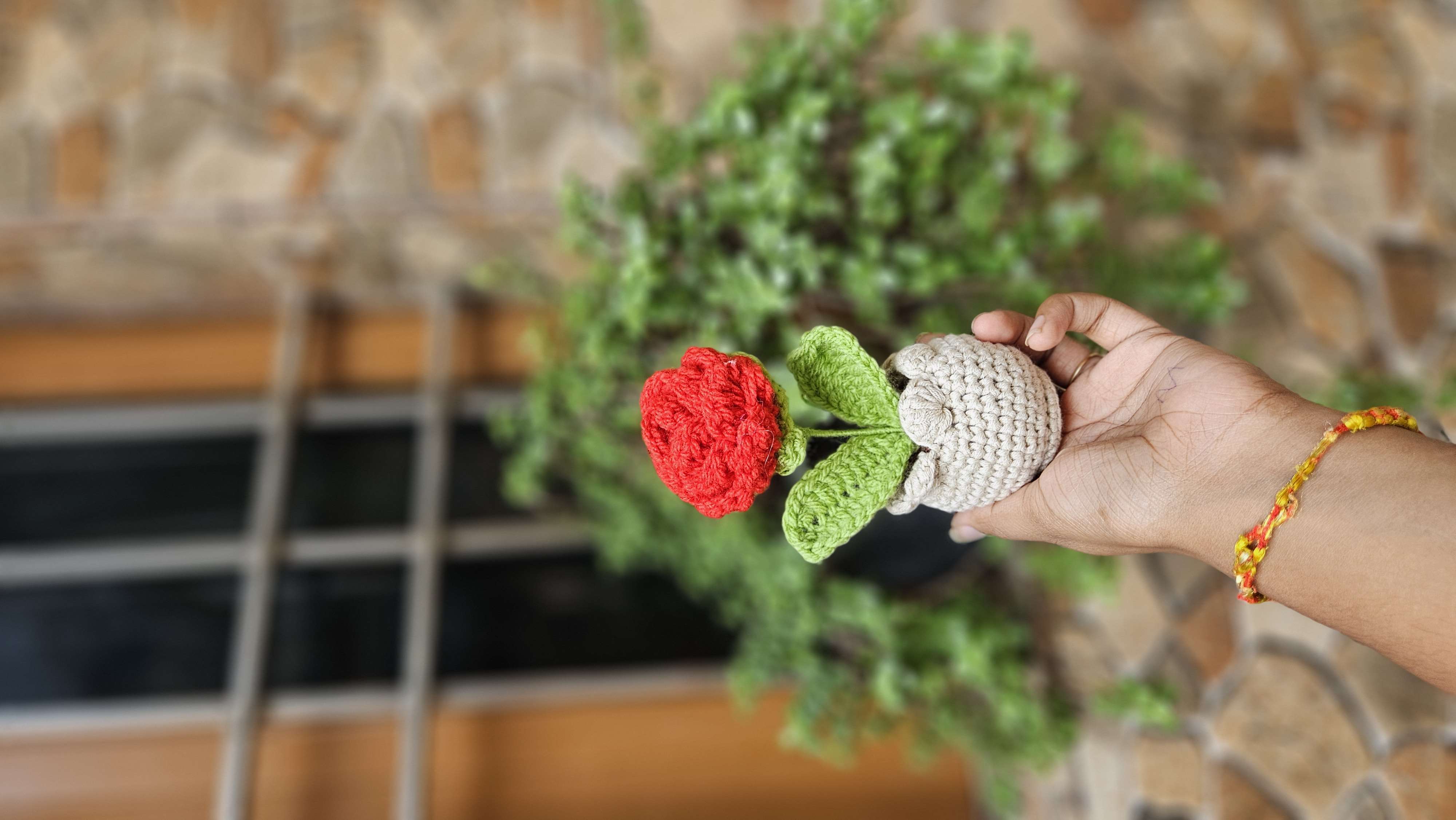 Mini red rose pot - Image 1